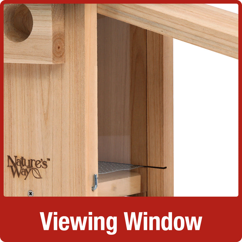 Load image into Gallery viewer, viewing window on the Nature's Way Bluebird Box House with Viewing Window