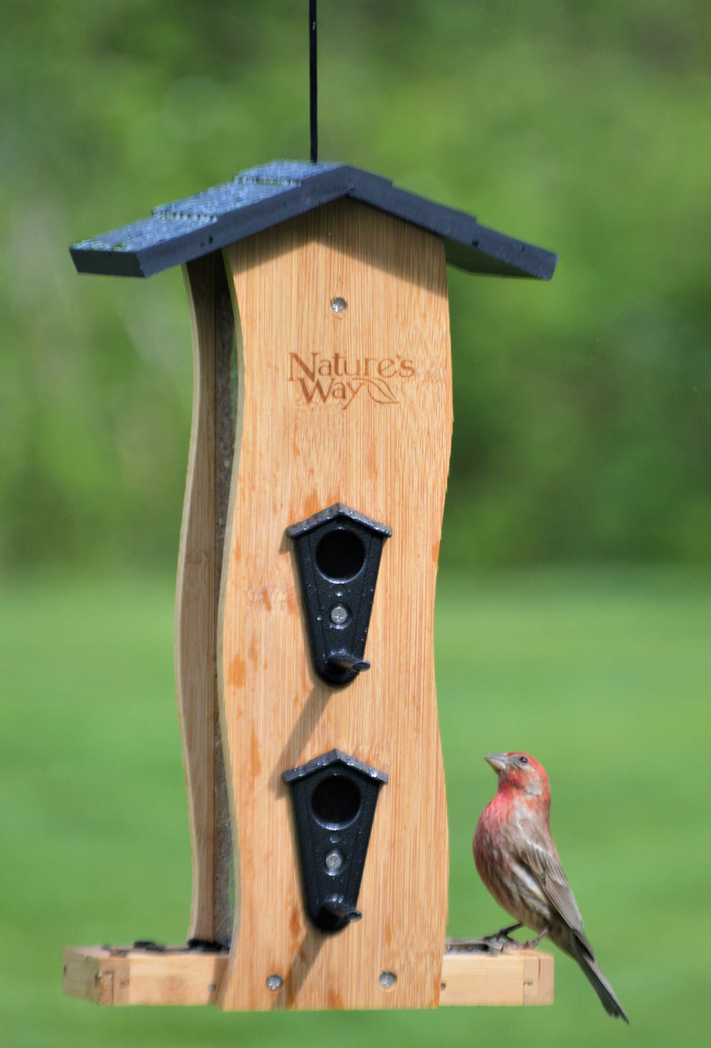 Load image into Gallery viewer, Bird feeding from Nature&#39;s Way bamboo Vertical Wave bird Feeder

