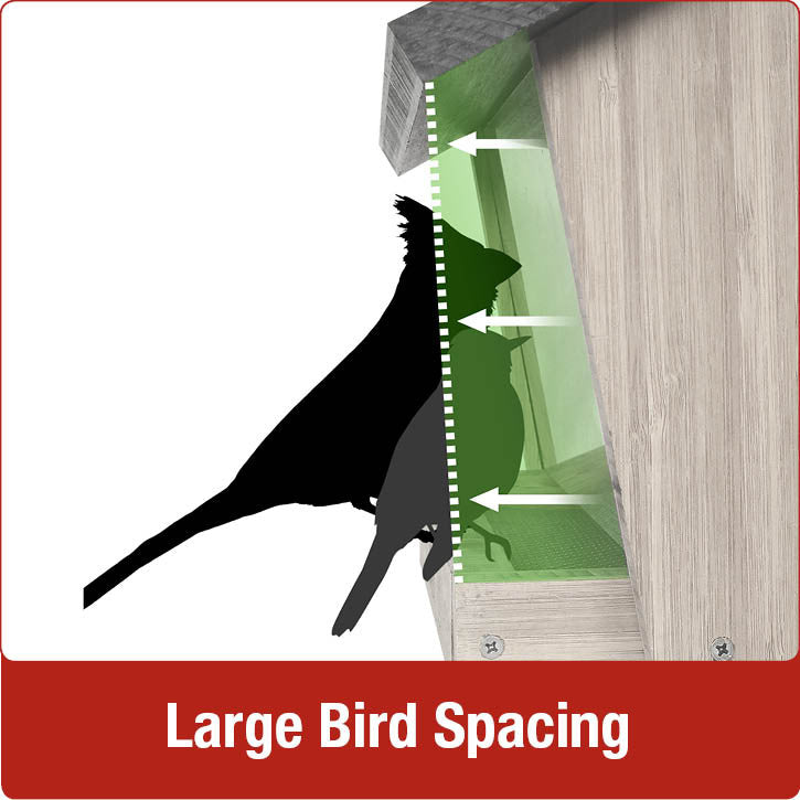 Load image into Gallery viewer, Large bird spacing Nature&#39;s Way 6 QT Hopper cedar bird Feeder with two Suet Cages
