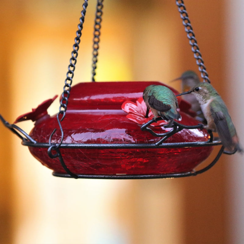 Load image into Gallery viewer, three hummingbirds feeding from the nature&#39;s way Modern Hummingbird Feeder - Solid Red
