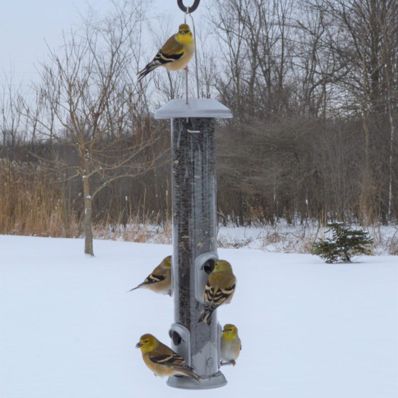 Load image into Gallery viewer, 5 yellow birds feeding from the Deluxe Easy Clean Tube Feeder in winter