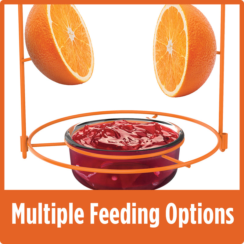 Load image into Gallery viewer, two orange halves on spikes and one dish full of jelly demonstrates multiple feeding options on the Nature&#39;s Way Wire Oriole Feeder
