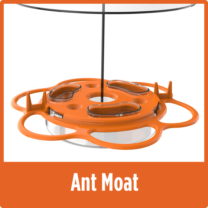 Load image into Gallery viewer, built-in ant moat on the Nature's Way All-In-One Oriole Buffet