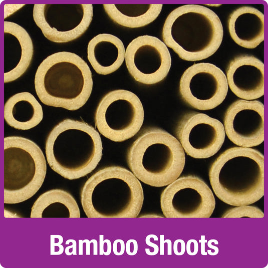 bamboo shoots on the Better Gardens Pollinator Tower