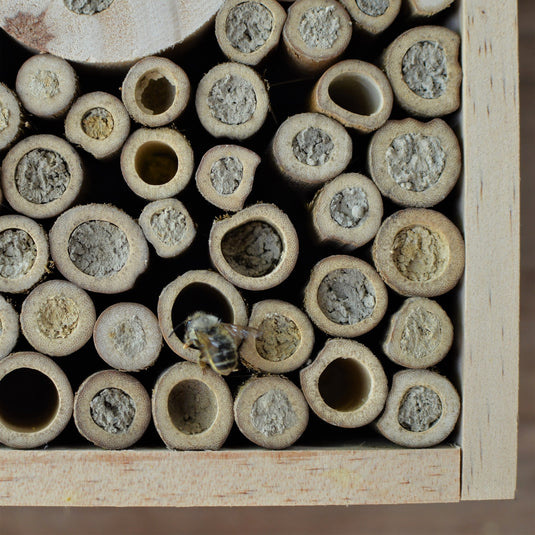 Better Gardens Pollinator Tower