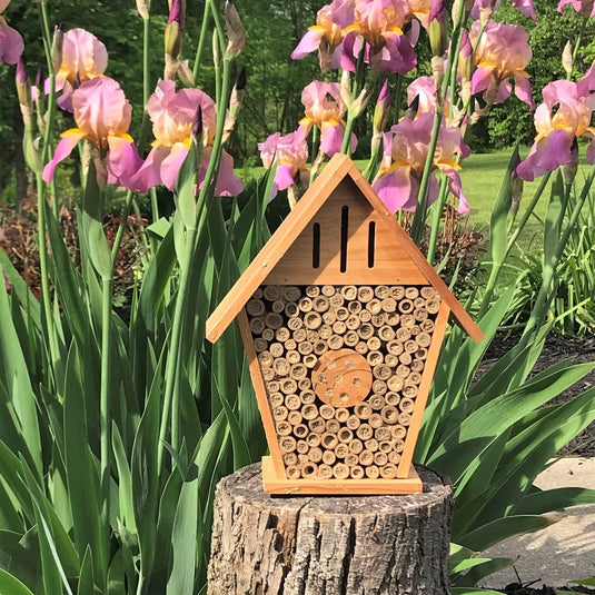 Better Gardens Insect Chateau