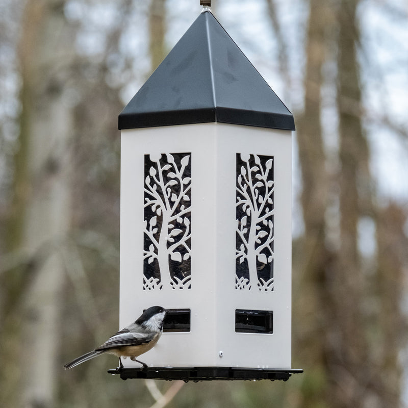 Load image into Gallery viewer, chickadee feeding from Squirrel Shield Lantern Feeder