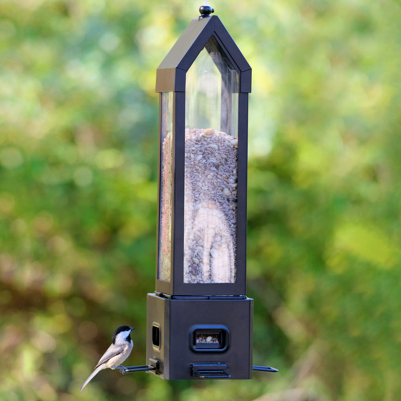 Load image into Gallery viewer, Squirrel Shield Choice Lantern Feeder