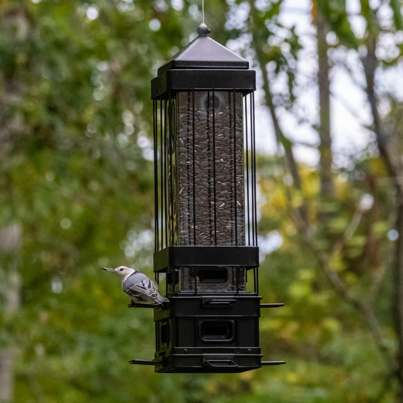 Load image into Gallery viewer, Squirrel Shield Advantage Cage Feeder