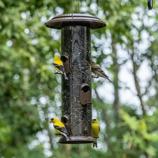 Wide Deluxe Funnel Flip-Top Tube Feeder