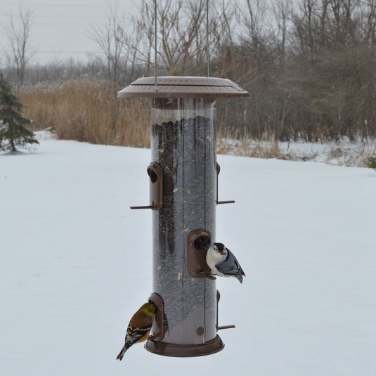 two birds feeding from the Wide Deluxe Funnel Flip-Top Tube Feeder (Model