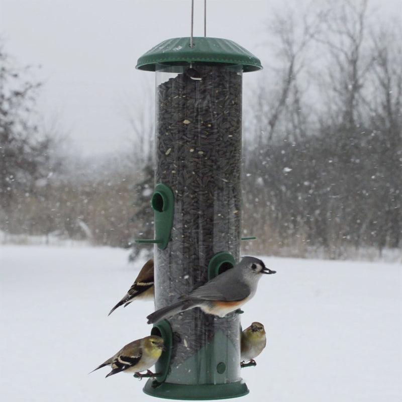 Load image into Gallery viewer, Four birds feeding from the Nature's Way Wide Easy Clean Tube Feeder
