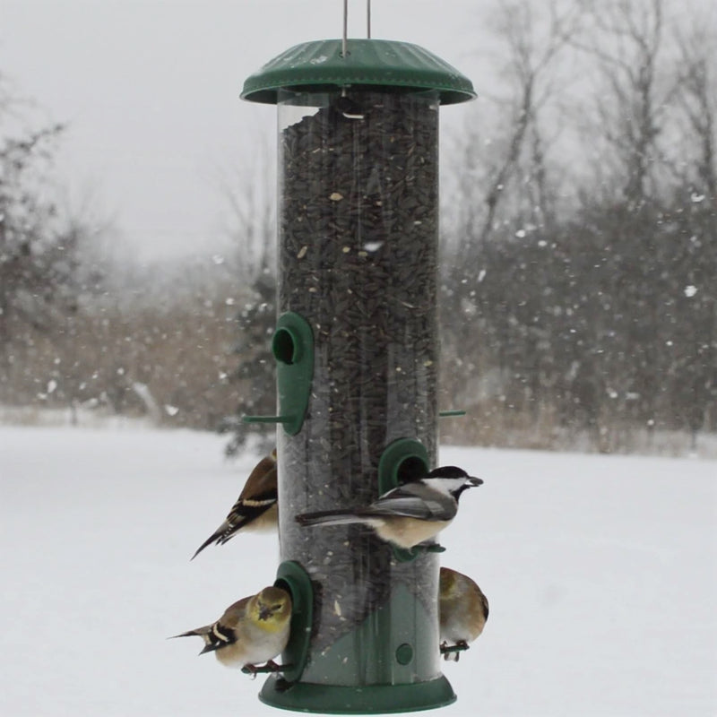 Load image into Gallery viewer, Four birds feeding from the Nature&#39;s Way Wide Easy Clean Tube Feeder
