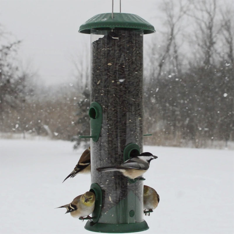Load image into Gallery viewer, Four birds feeding from the Nature's Way Wide Easy Clean Tube Feeder