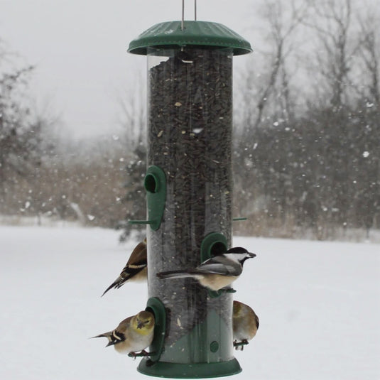 Four birds feeding from the Nature's Way Wide Easy Clean Tube Feeder