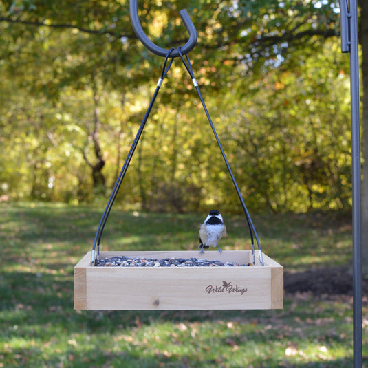 chickadee feeding from Nature's Way Wild Wings Hanging Platform cedar bird Feeder