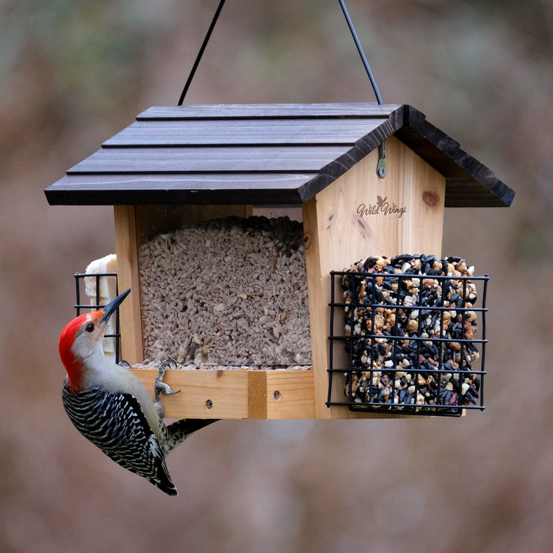 Load image into Gallery viewer, 3 QT Hopper Feeder w/ 2 Suet Cages (Model# WWCF28)
