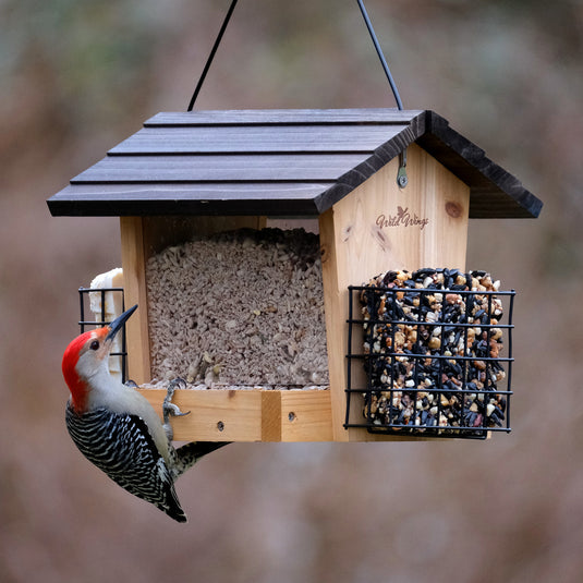 3 QT Hopper Feeder w/ 2 Suet Cages