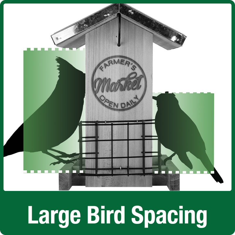 Load image into Gallery viewer, Demonstration of large bird spacing on Nature's Way Wild Wings Galvanized Weathered Hopper Bird Feeder with two suet cages