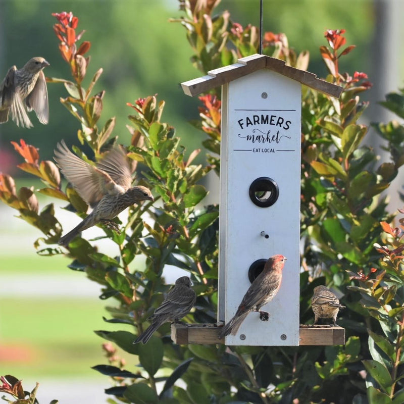 Load image into Gallery viewer, Birds feeding from Nature&#39;s Way Wild Wings Farmhouse Vertical cedar bird Feeder
