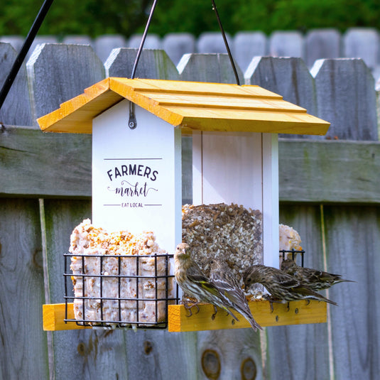 four birds feeding from Nature's Way Wild Wings Farmhouse Hopper Bird Feeder