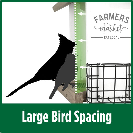 Demonstration of large bird spacing for Nature's Way Wild Wings Farmhouse Hopper Bird Feeder