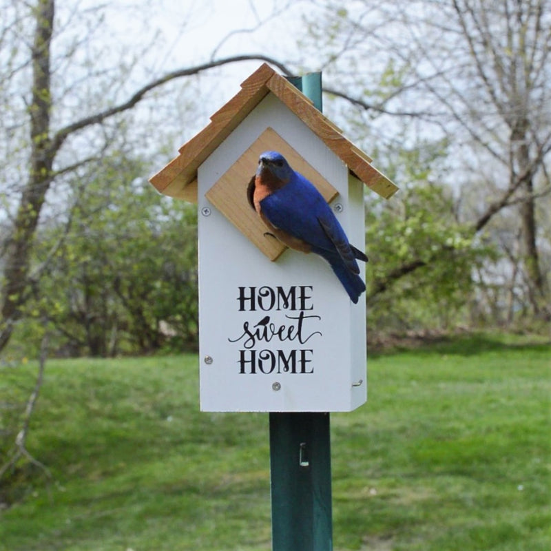 Load image into Gallery viewer, Farmhouse Bluebird House