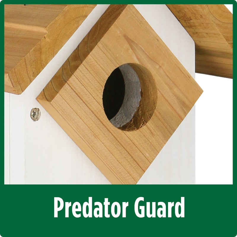 Load image into Gallery viewer, predator guard on the Wild Wings Farmhouse Bluebird House