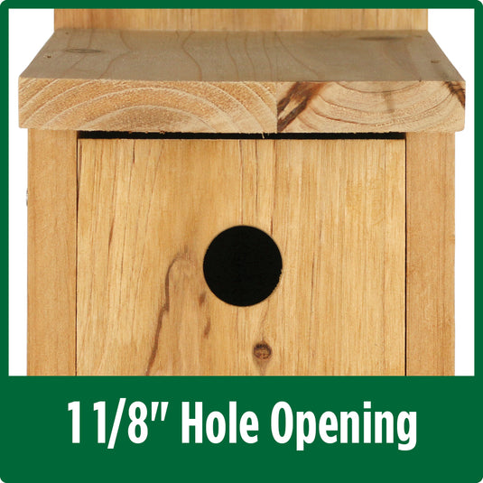 Box Wren House