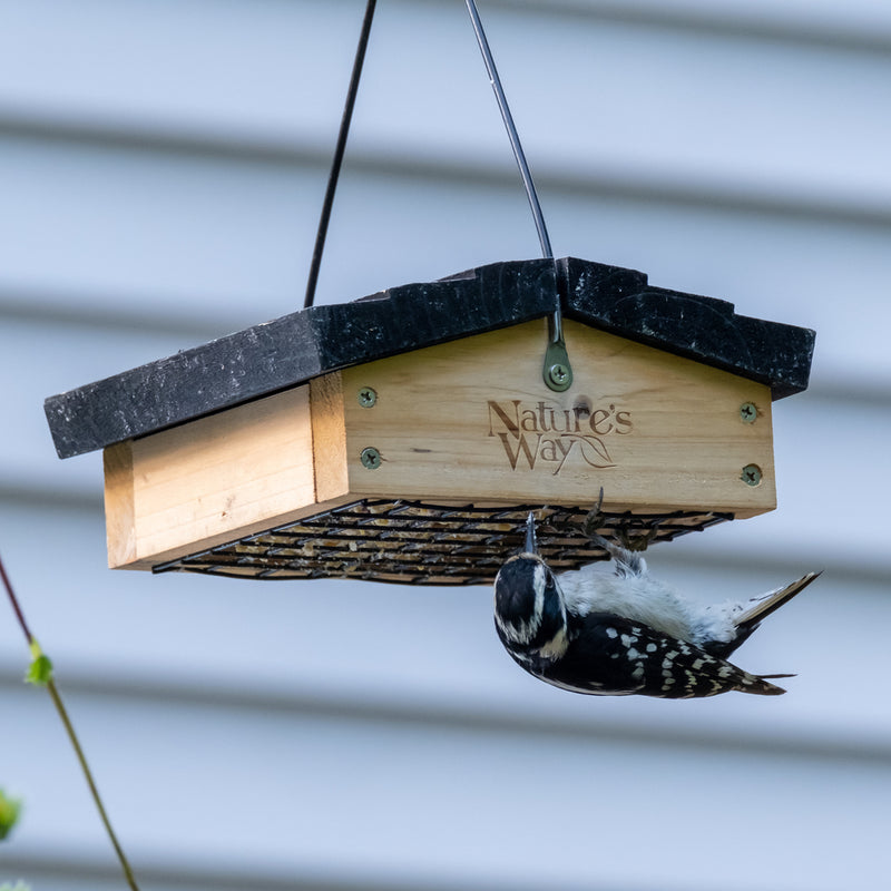 Load image into Gallery viewer, woodpecker feeding from nature&#39;s way upside down suet feeder
