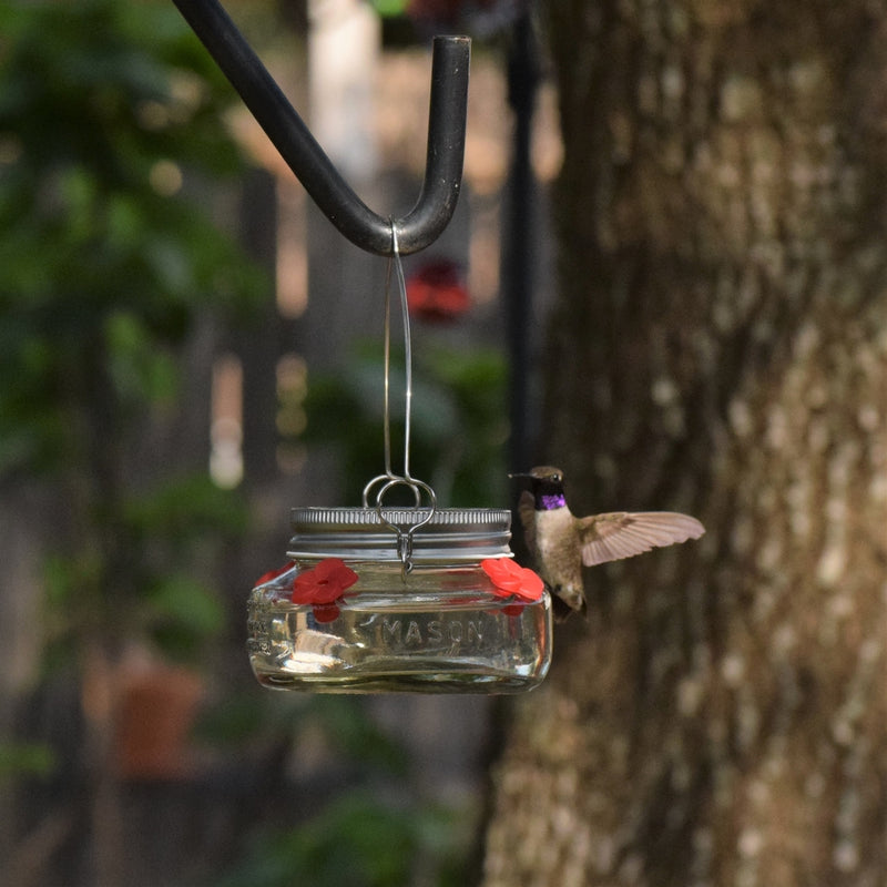 Load image into Gallery viewer, Mason Jar Hummingbird Feeder