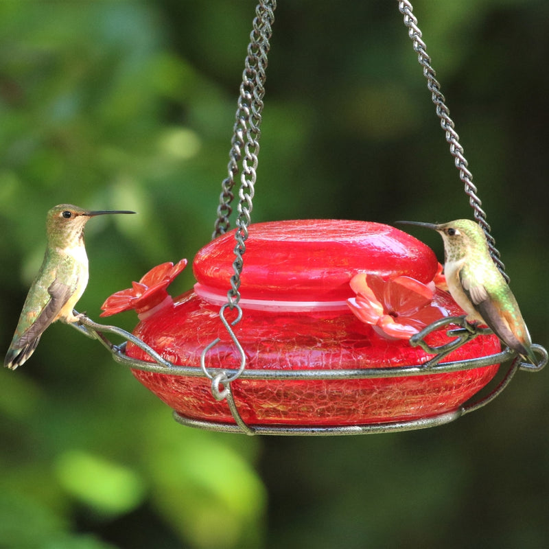 Load image into Gallery viewer, two hummingbirds feeding from the nature&#39;s way Modern Hummingbird Feeder - Solid Red
