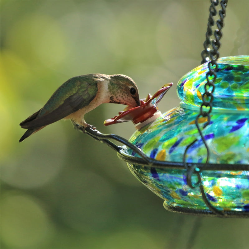 Load image into Gallery viewer, Close up of one hummingbird feeding from the Nature&#39;s Way Illuminated Hummingbird hand blown glass Feeder
