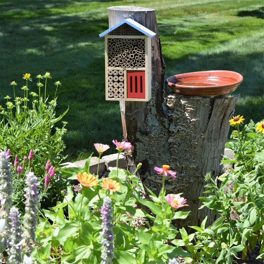 Better Gardens Multi-Chamber Beneficial Insect House mounted on a tree in garden