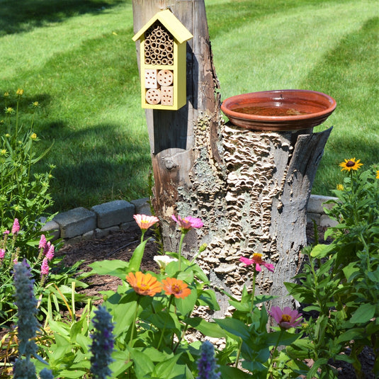 Better Gardens Dual-Chamber Beneficial Insect House mounted on a tree in a garden