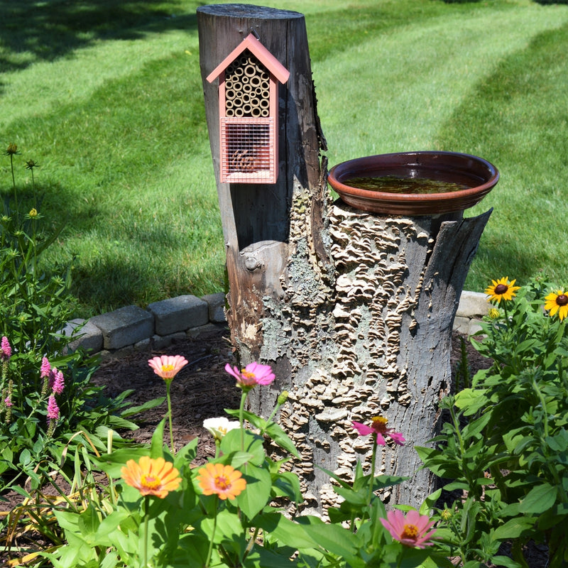 Load image into Gallery viewer, Better Gardens Dual-Chamber Beneficial Insect House mounted on a tree in a garden