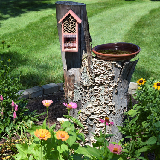 Better Gardens Dual-Chamber Beneficial Insect House mounted on a tree in a garden