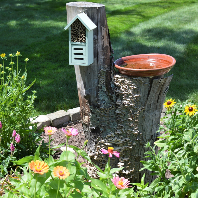 Load image into Gallery viewer, Better Gardens Dual-Chamber Beneficial Insect House mounted on a tree in a garden
