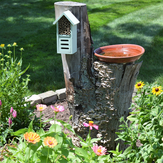 Better Gardens Dual-Chamber Beneficial Insect House mounted on a tree in a garden