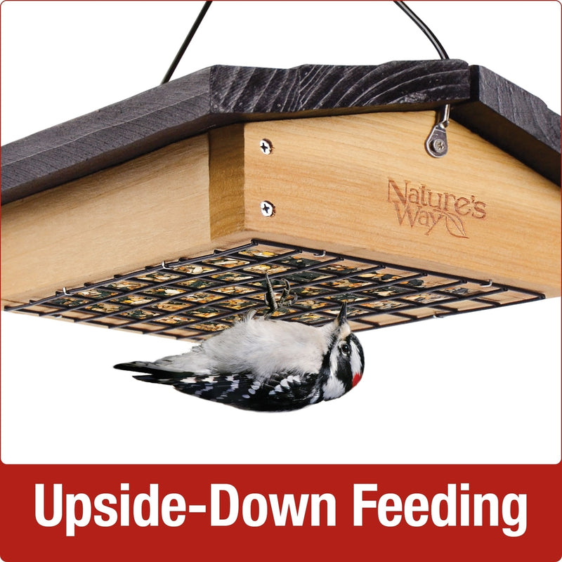 Load image into Gallery viewer, Bird feeding upside-down on Nature&#39;s Way Upside-down cedar Suet Feeder
