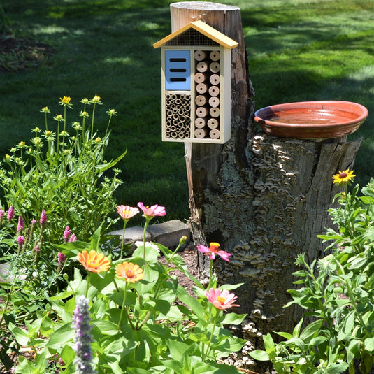 Better Gardens Multi-Chamber Beneficial Insect House mounted on a tree in garden