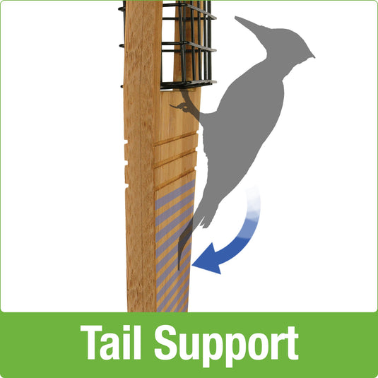 Tail prop design ideal for attracting large woodpeckers like the Pileated to your backyard with the Nature's Way Tail-prop Suet Bamboo bird Feeder