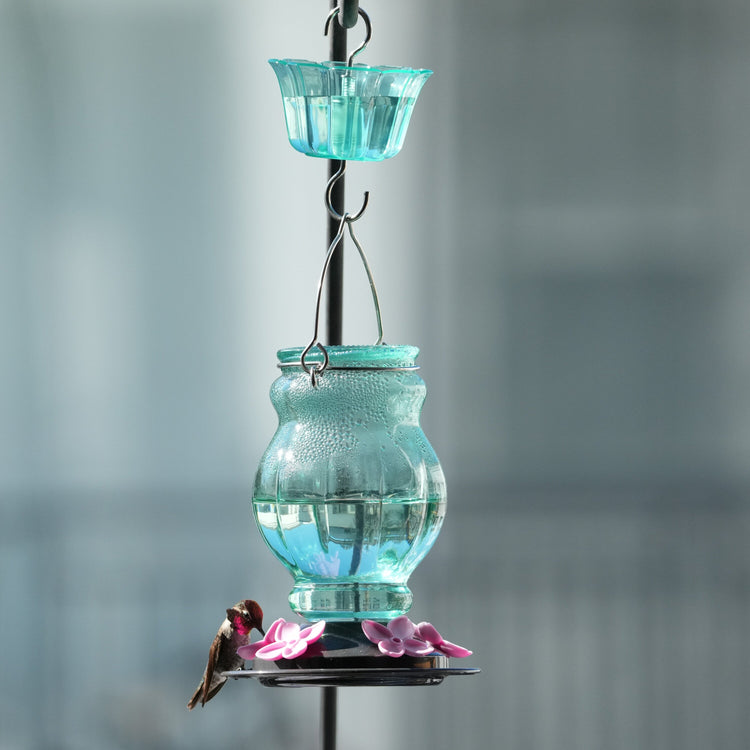 All about glass hummingbird feeders