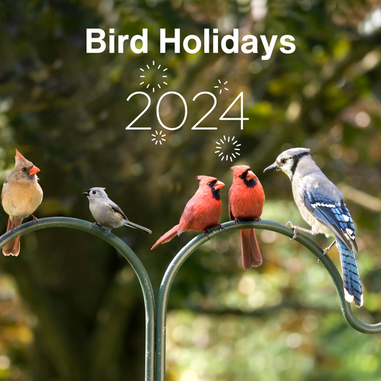 Wild Bird Holidays 2024