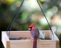 Best bird feeders for cardinals