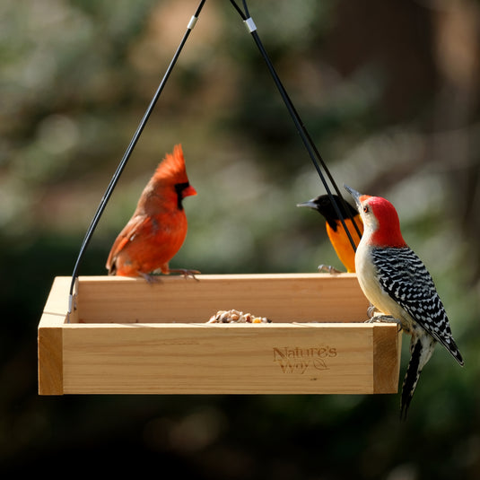 How to prepare for fall migration