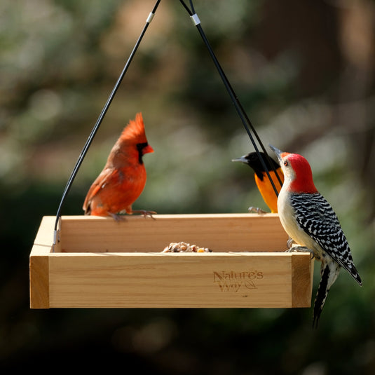 How to prepare for fall migration