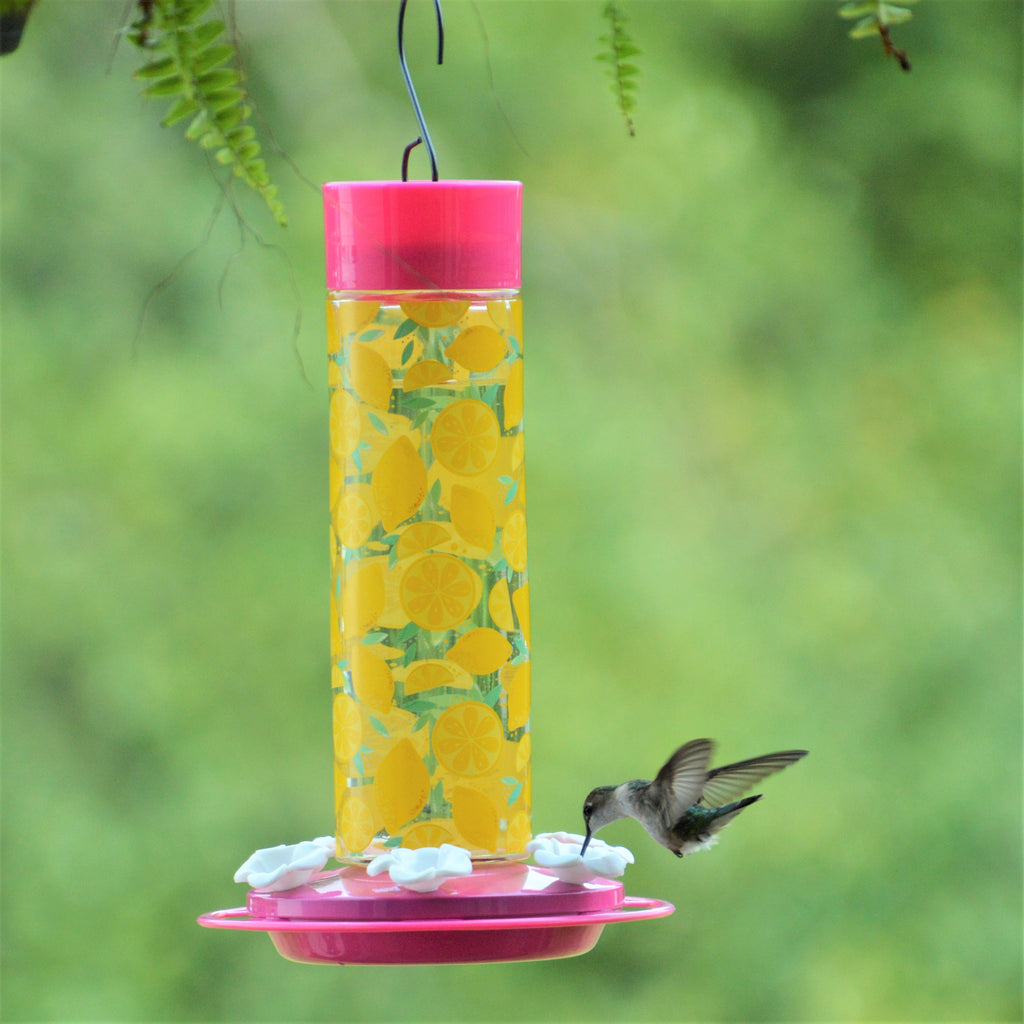 NATURE’S WAY BIRD PRODUCTS SUPPORTS FIGHT AGAINST CHILDHOOD CANCER WITH NEW HUMMINGBIRD FEEDER