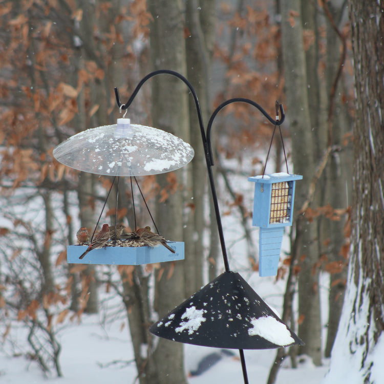 How to make a winter bird feeding station