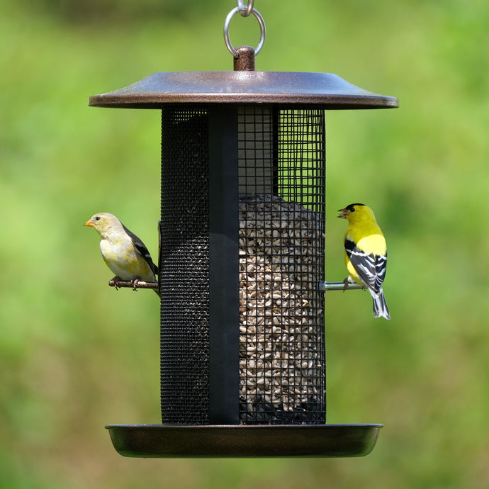 Best bird feeders for finches